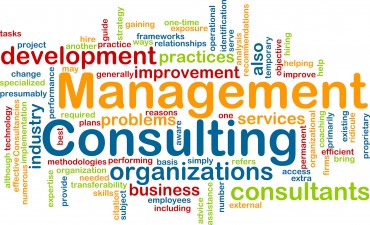 CONSULTOR5.jpg