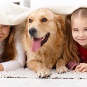 bigstock-Cute-little-girls-having-fun-w-38780002.jpg
