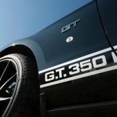 bigstock-Shelby-Mustang-GT---32089973.jpg