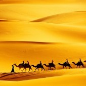 bigstock-Desert-caravan-27268472.jpg