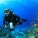 bigstock-Scuba-Diver-photographer-with--26727065.jpg