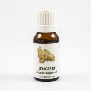 naturset-aceite-esencial-jengibre-10ml-3020.jpg
