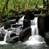 labotiga-floresbach-rockwater-aguaderoca.jpg
