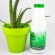 aloeplus-aloe-puro-jugo-juice-1l-500.jpg