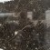 image6_(3).jpeg