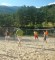 ACTIVIDADES MARZO 2016 EN LA COLONIA DE GREDOS