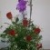 DSC_0515.jpg