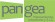 logo_pangea.jpg