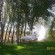 100_0403.JPG
