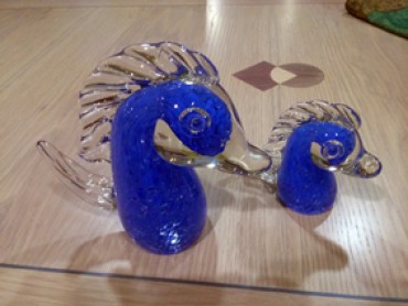 caballitos_de_mar_azul.jpg