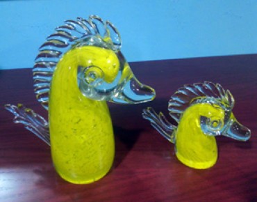 caballitos_de_mar_amarillos.jpg