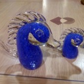caballitos_de_mar_azul.jpg