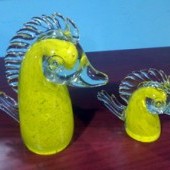 caballitos_de_mar_amarillos.jpg