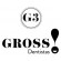Logo_Gross_dentistas-300x300.jpg