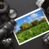 FOTOGRAFIA PUBLICITARIA