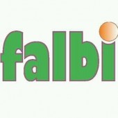 FALBI_-_LOGO_GRANDE.jpg