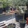 100_1696.JPG