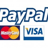 TPV_virtual_paypal.jpg