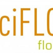 Sergio Gonzalez Garcia.