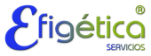 EFIGETICA SERVICIOS