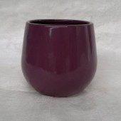 image_213_273.jpg