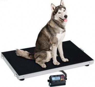 BÁSCULAS PARA VETERINARIOS