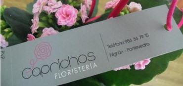 DISEÑO DE ETIQUETAS