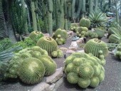 MANTENIMIENTO DE JARDINES