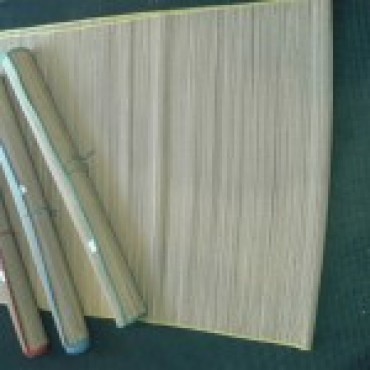 ESTERILLA DE PLAYA JUNQUILLO.