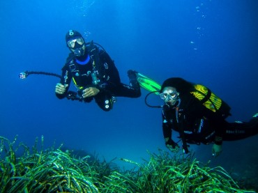 BUCEO INMERSIONES