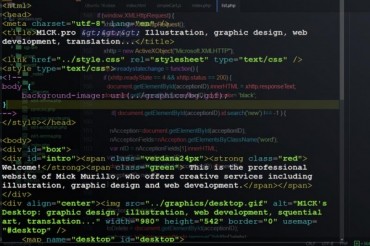 WEB DEVELOPMENT SERVICES