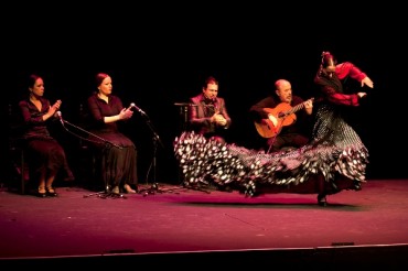 FOTOGRAFIA DE ESPECTACULOS