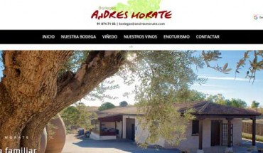 DISEÑO WEB PROFESIONAL A LA MEDIDA DE SUS NECESIDADES Y PRESUPUESTO. La web que necesita para incrementar su cartera de clientes.