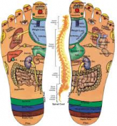 REFLEXOTERAPIA.png