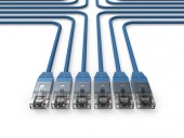 Fotolia_33216566_XS.jpg