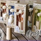 Angels-News.jpg