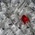 bigstock-LED--light-emitting-diode-26306237.jpg