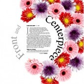 DISEÑO EDITORIAL Y MAQUETACIÓN DE PUBLICACIONES