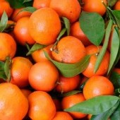 A-pile-of-clementines-001.jpg