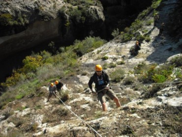 CIMG9005_11-14-2012.jpg