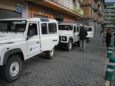 CIMG8738_11-03-2012.jpg