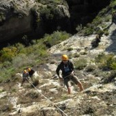 CIMG9005_11-14-2012.jpg