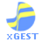 XGEST.png