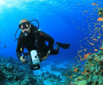 CURSOS DE BUCEO