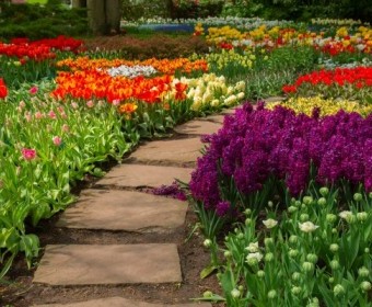 CONSTRUCCIÓN DE ROCALLAS