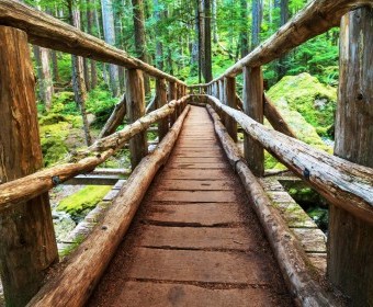 ALQUILER DE APARTAMENTOS