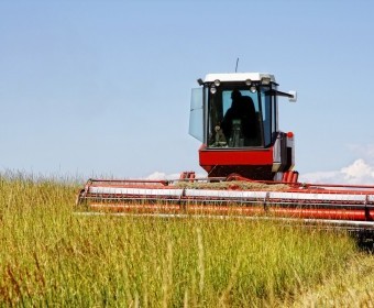bigstock-Harvesting-a-Field-of-Grass-7582444.jpg