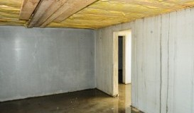 bigstock-Wet-Faulty-Builded-Cellar-97288148.jpg