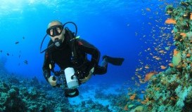 CURSOS DE BUCEO