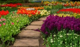 CONSTRUCCIÓN DE ROCALLAS